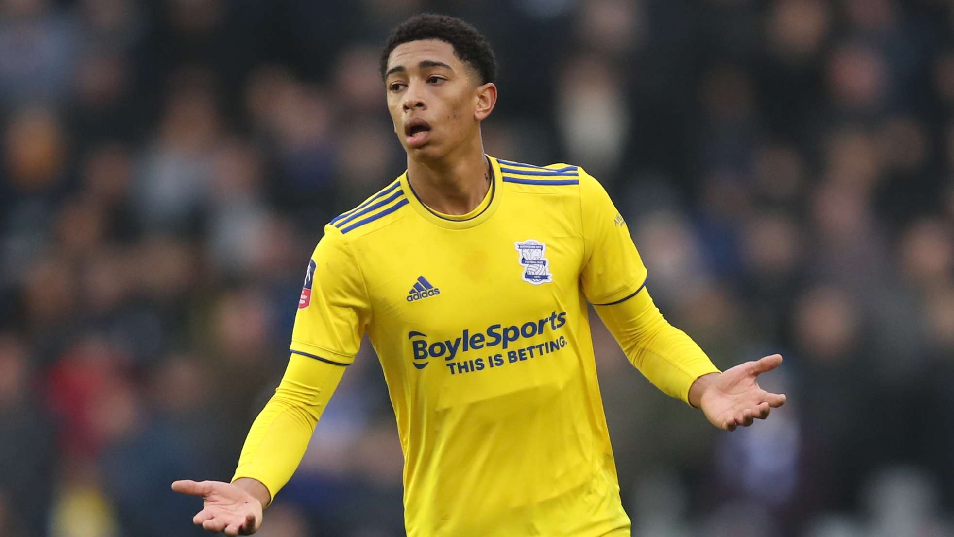 这不仅彰显 这不仅彰显