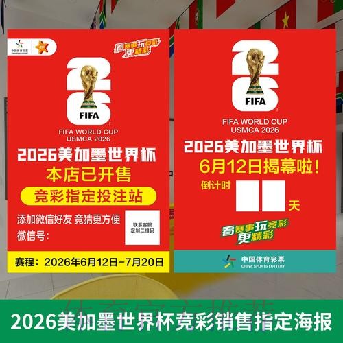 世界杯投注攻略：专家推荐的投注方法
